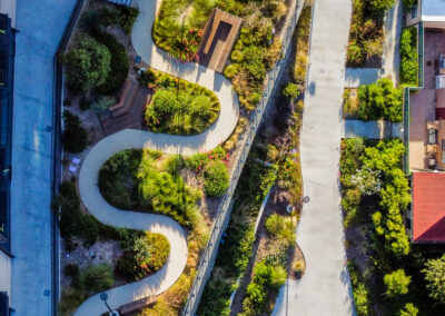 arial shot of a curvy walking path with lush greenery