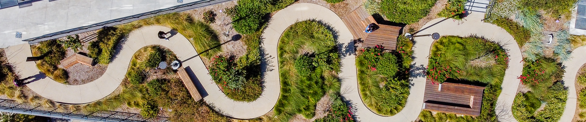 winding walking path with benches and colorful plants throughout.